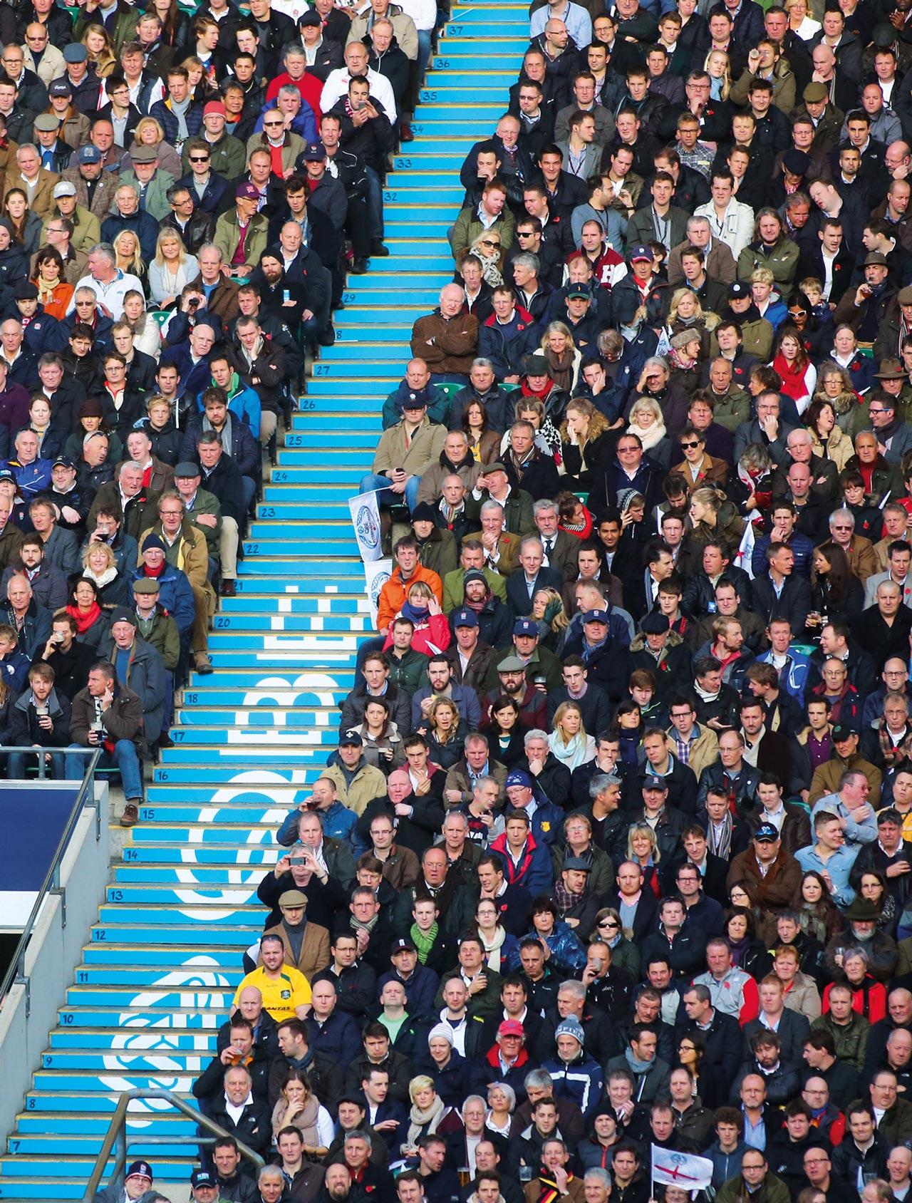 Glendale Creative QBE Internationals Rugby Stair Vinyls