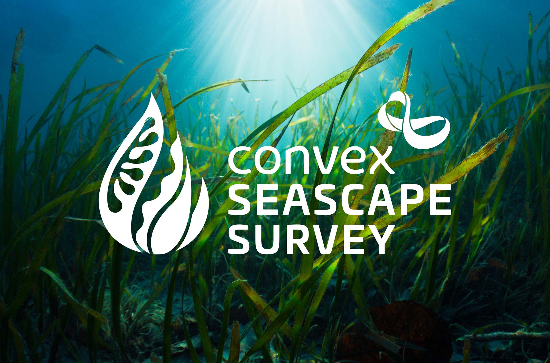 The Convex Seascape Survey Logo over an ocean seabed image
