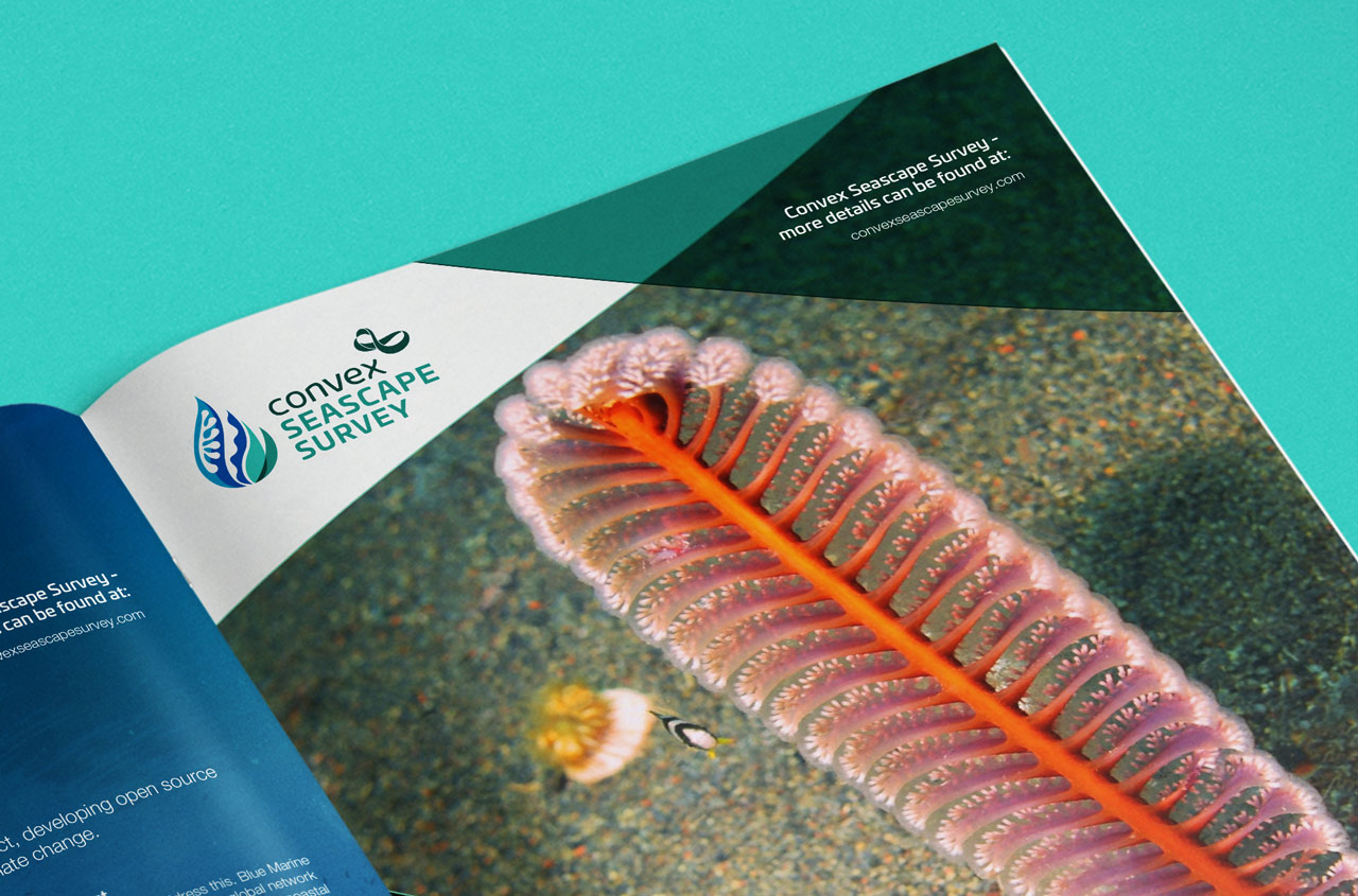 Close up image of the inside of a brochure, this page shows a sea creature